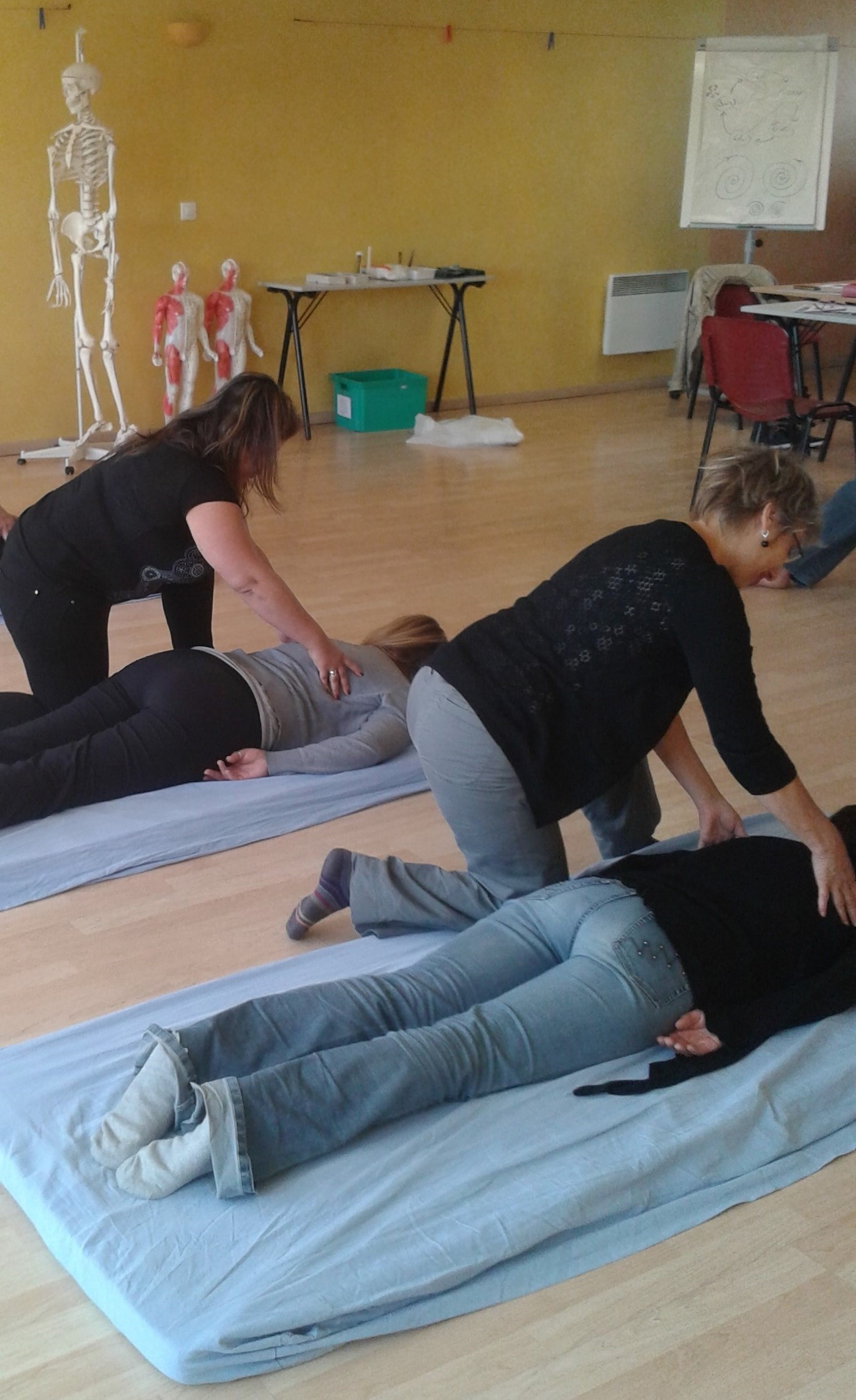 Formation Shiatsu Bases Et Approfondissement Paris Artec Formation Professionnelle Massage